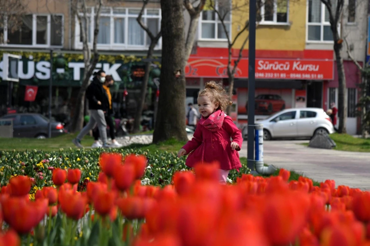 Son dakika... Isparta\'da laleler görsel şölen sunuyor