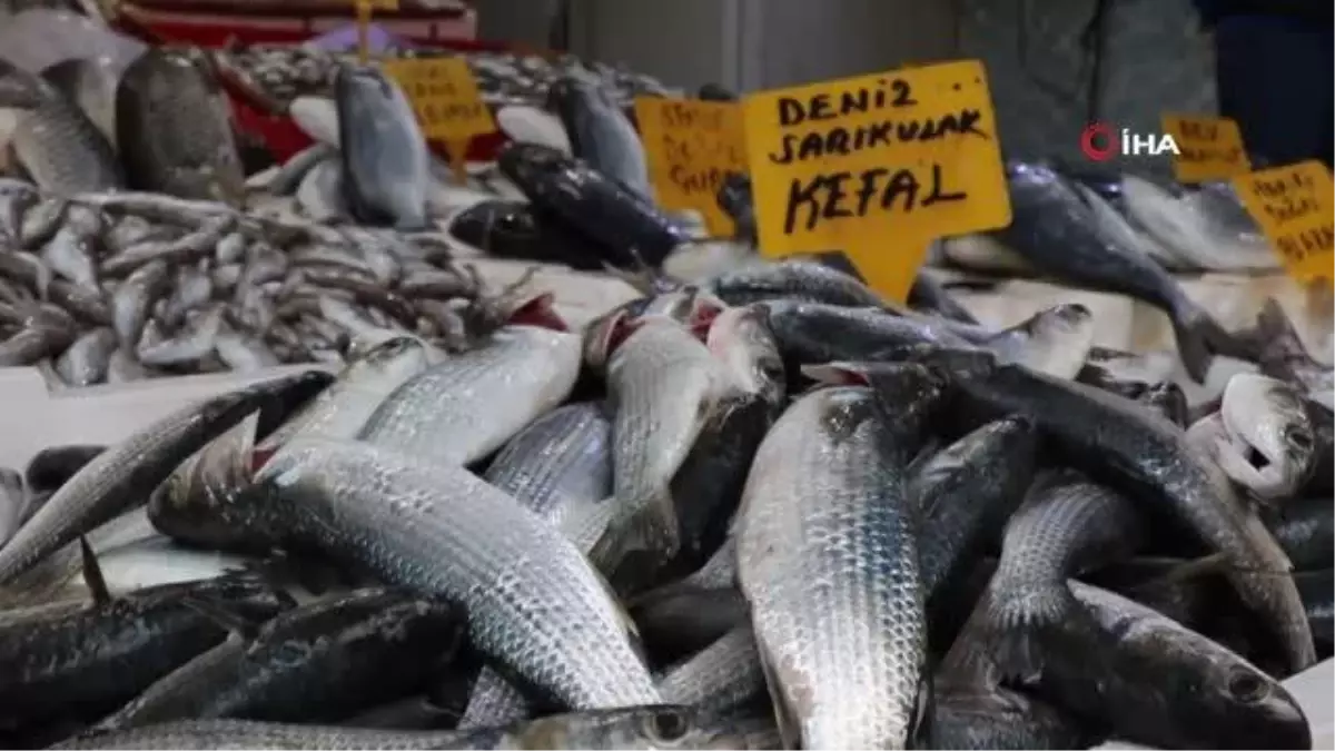 Palamut \'güldürdü\', hamsi \'üzdü\'