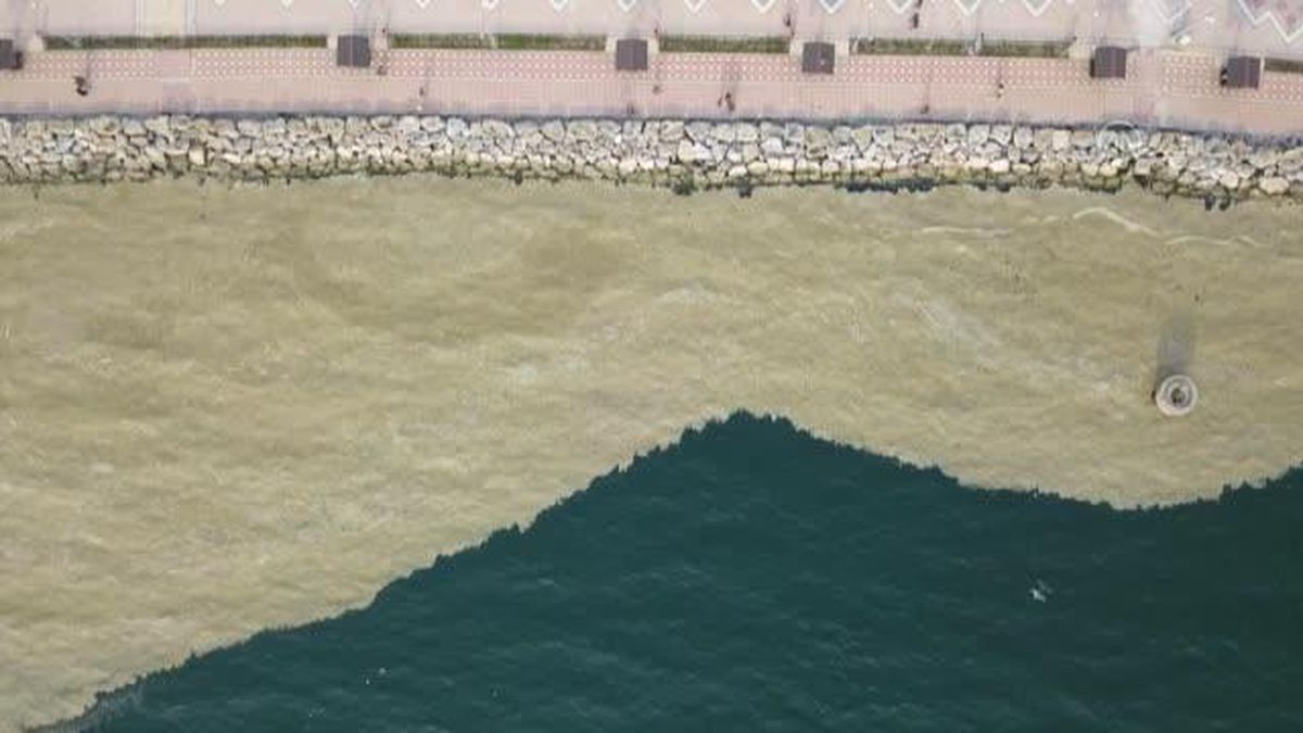 Plankton çoğalması deniz suyunu kahverengiye dönüştürdü