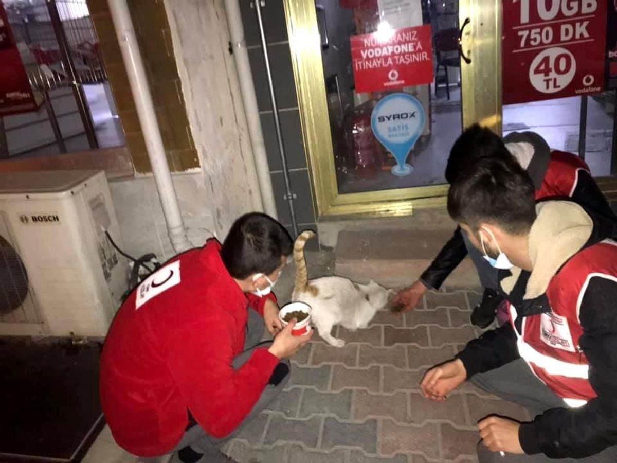Emet\'te kısıtlamada sokak hayvanları unutulmadı