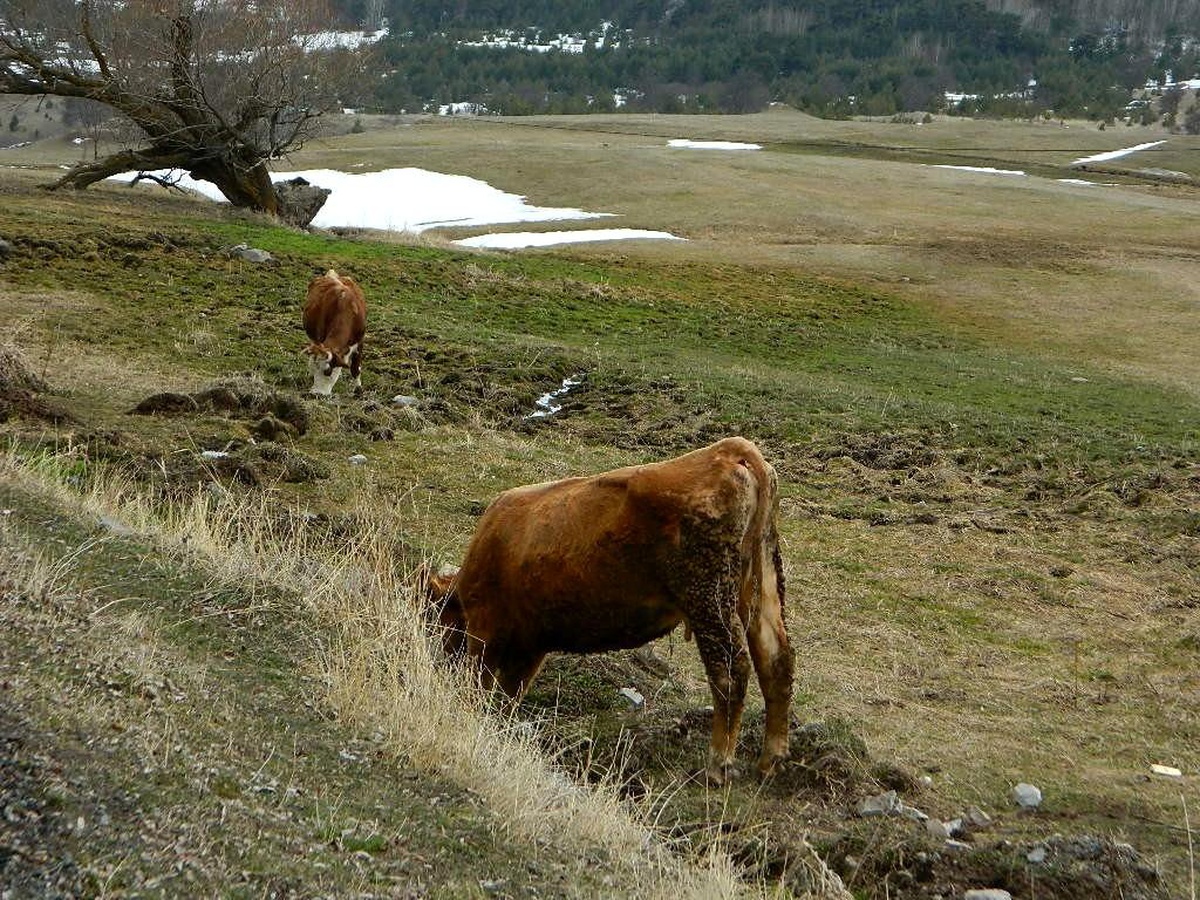 Posof nisan ayında bahara kavuştu