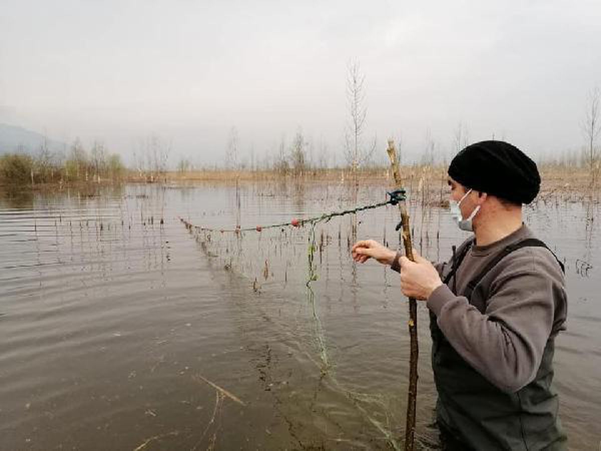 Düzce\'de Efteni Gölü\'nde usulsüz kurulan 800 metre ağ ele geçirildi