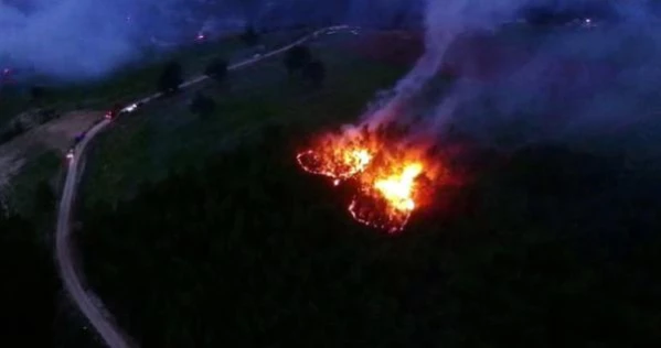 Son dakika haberi | Muğla'daki orman yangınlarında 'sabotaj' şüphesi