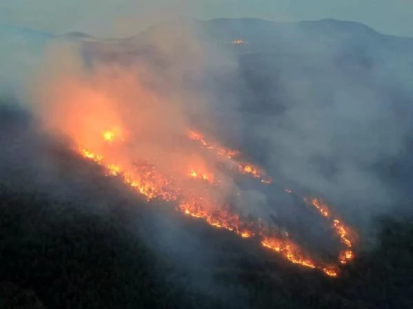 Son dakika haberi | Muğla'daki orman yangınlarında 'sabotaj' şüphesi