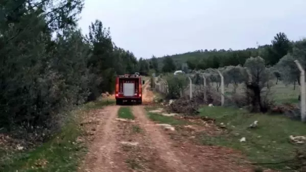 Son dakika haberi | Muğla'daki orman yangınlarında 'sabotaj' şüphesi