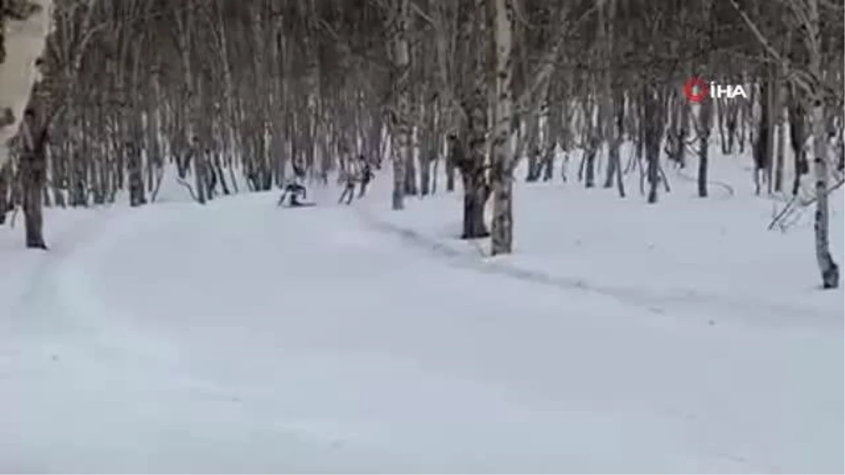 Rusya\'da ağaca çarpan kayakçı öldü