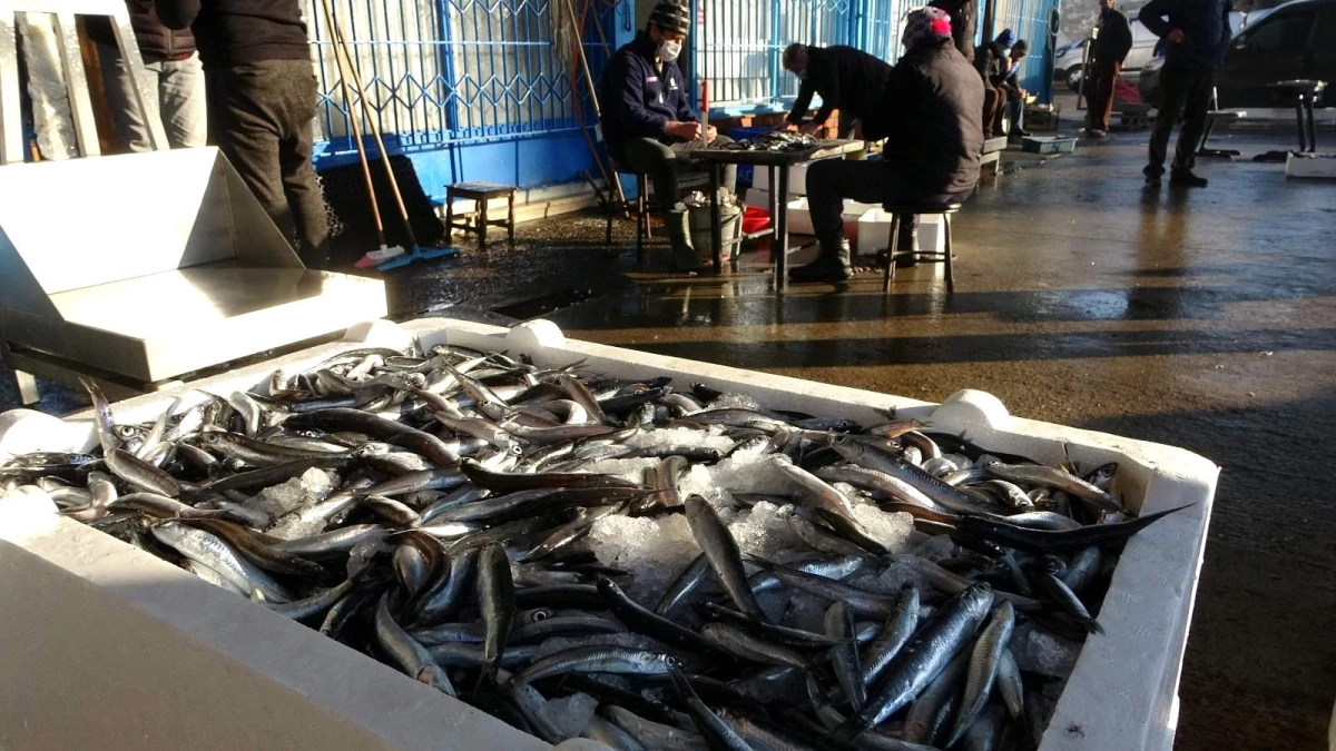 Trabzon\'da son 7 yıldaki balık miktarı 40 milyon kilograma yaklaştı
