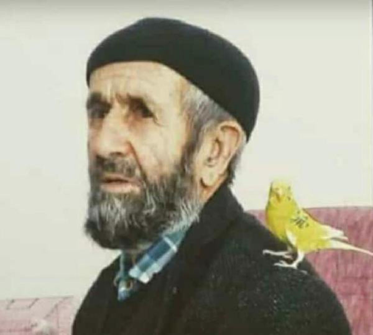 Alzheimer hastası, 2 gündür kayıp