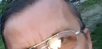 Son dakika haberi... Arılar soktuktan sonra öldü