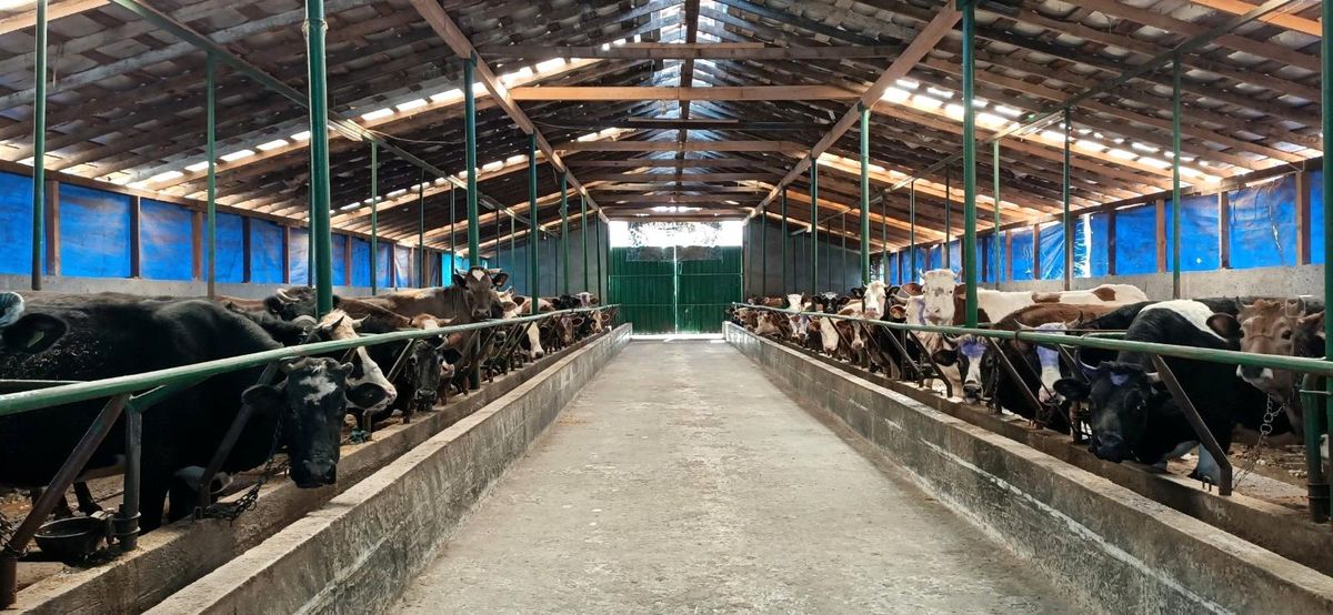 Samsun 167 milyon TL yatırım değeri olan 31 projeyi teslim aldı
