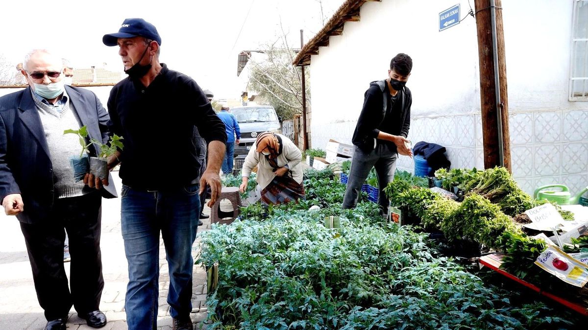 Sarıgöl\'de sebze fide satışlarına büyük ilgi