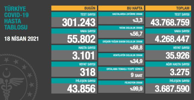 Tedbir üstüne tedbir geliyor ama kabus bitmiyor! Türkiye'de günlük ölüm sayısı 318 ile en yüksek seviyeye çıktı