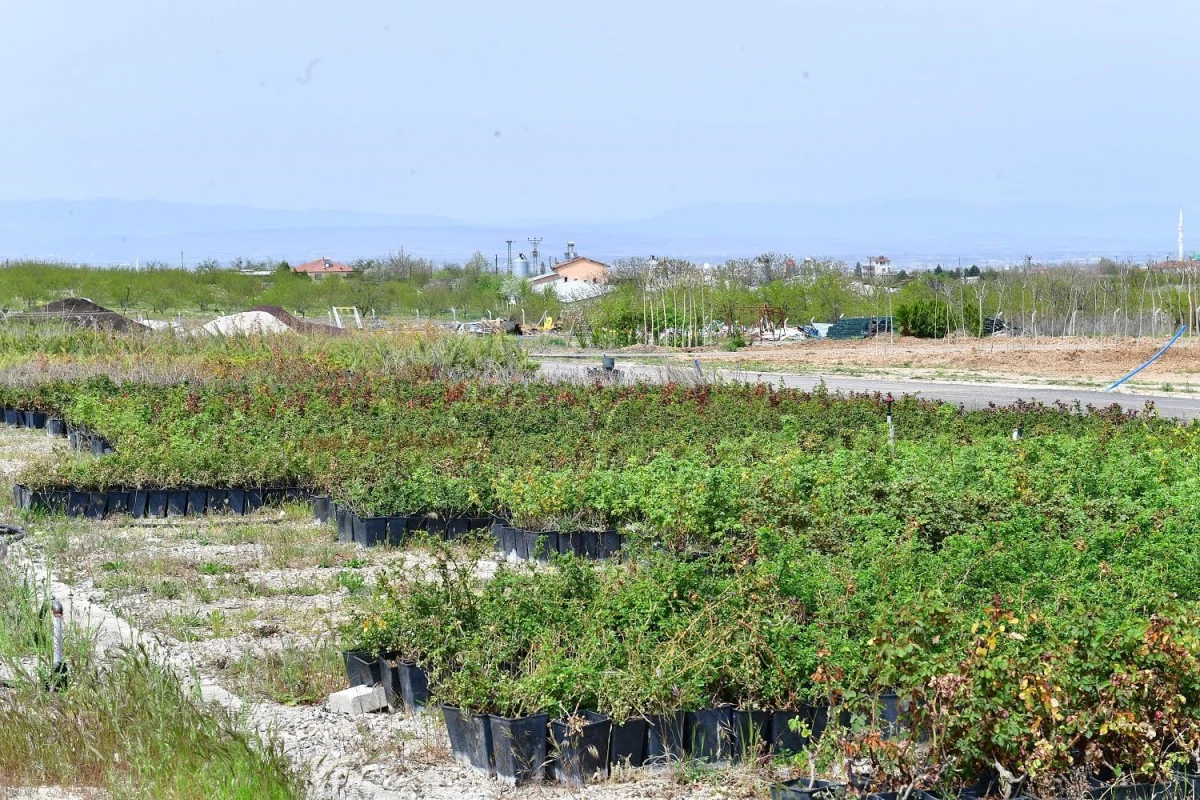 Yeşilyurt, "mevsimlik çiçeklerle daha güzel, daha renkli olacak"