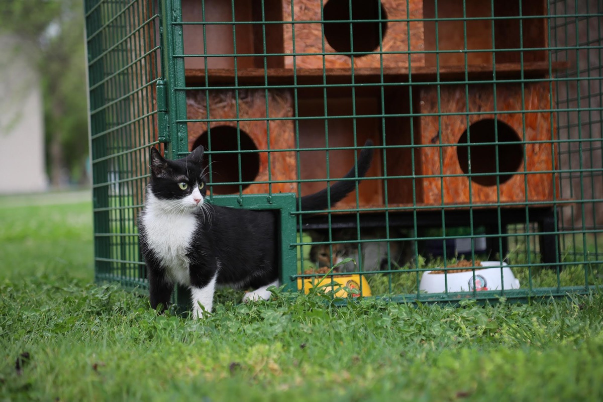 Gaziantep\'te, Hayri Tütüncüler Parkı\'na yeni kedi evleri kuruldu