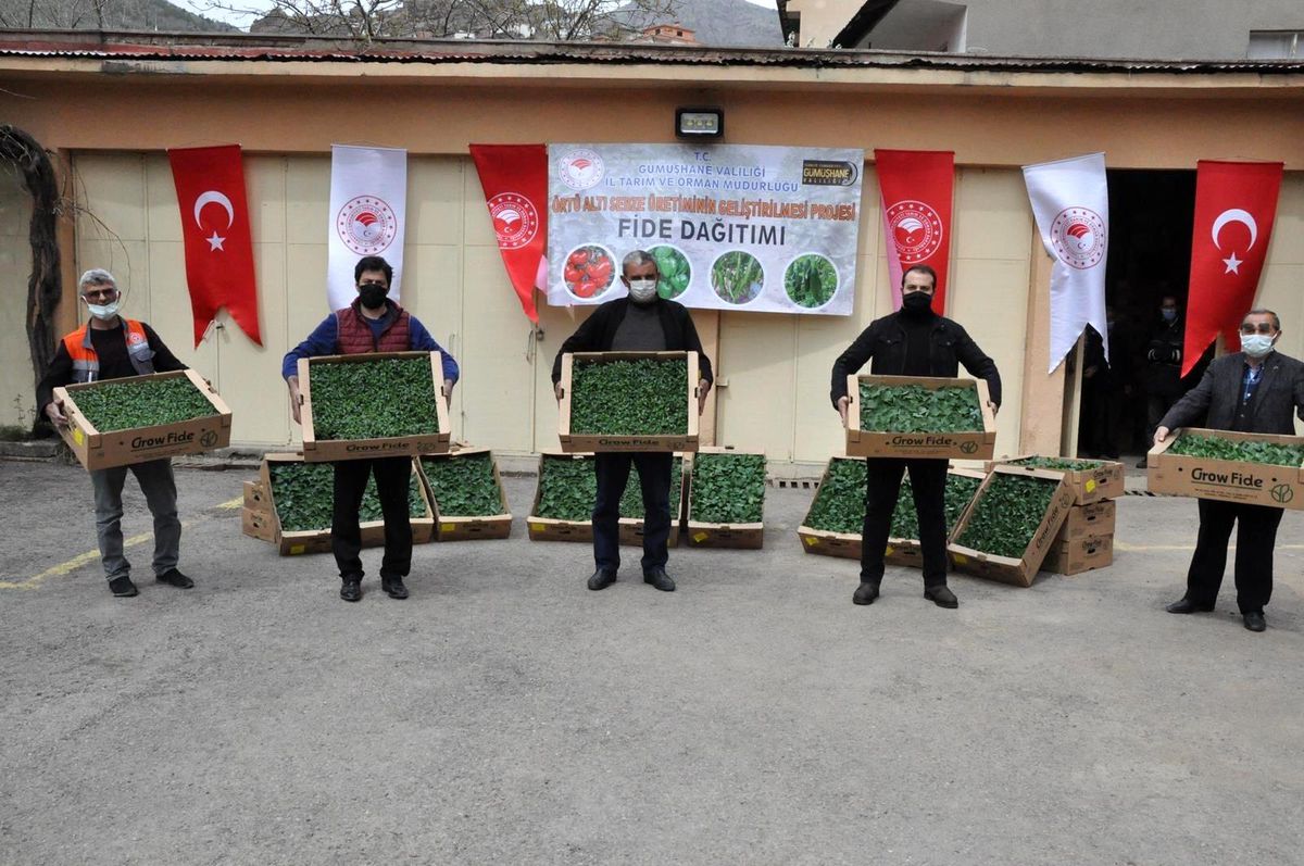 Gümüşhane\'de üreticilere 146 bin 700 adet fide dağıtıldı
