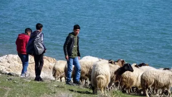 HEM ÇOBANLIK YAPIYORLAR HEM DERS ÇALIŞIYORLAR