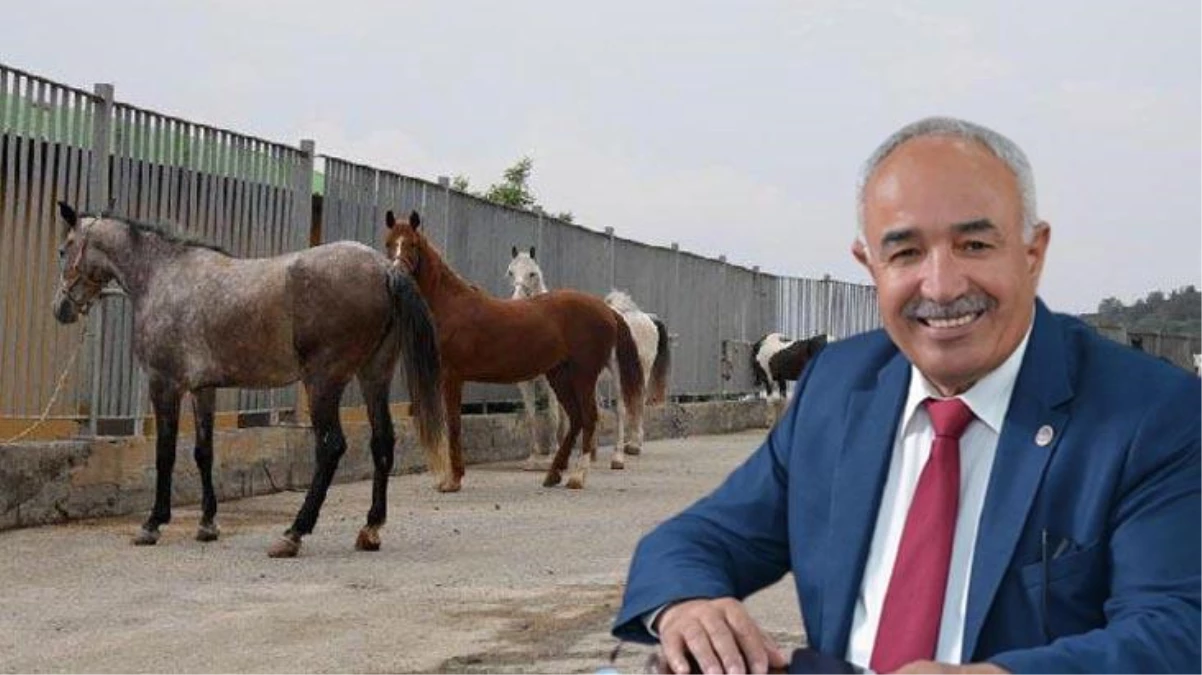 MHP\'den istifa eden Dörtyol Belediye Başkanı: Atları teslim ettiğimiz kişi atları elinden kaçırdı