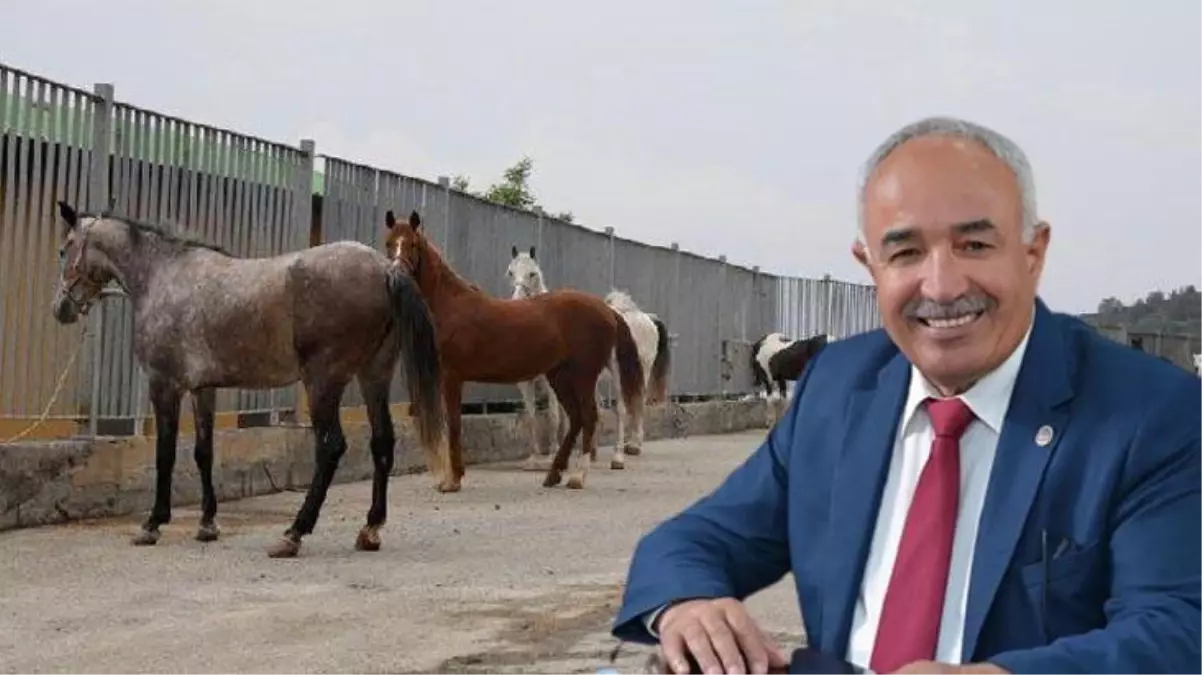 MHP'den istifa eden Dörtyol Belediye Başkanı: Atları teslim ettiğimiz kişi atları elinden kaçırdı