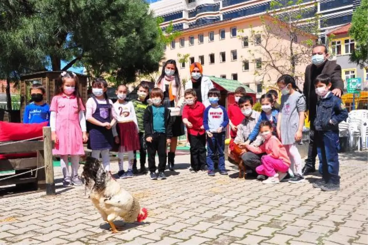 Manisa\'daki ilkokulda öğrencilere Finlandiya modeli eğitim