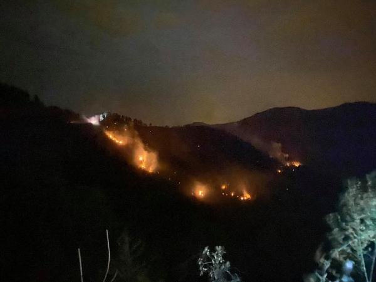 Rize\'de orman yangını söndürüldü