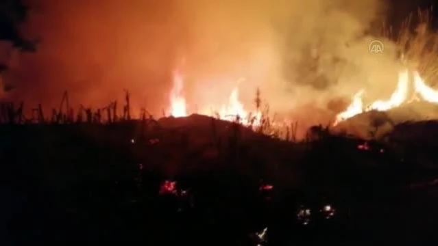 Son dakika gündem: Sazlık alanda çıkan yangın söndürüldü