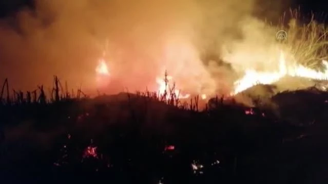 Son dakika gündem: Sazlık alanda çıkan yangın söndürüldü