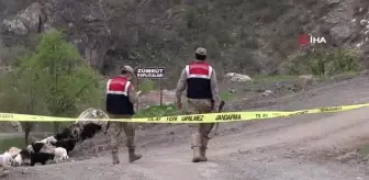 Şırnak'ta 1 köy karantinaya alındı