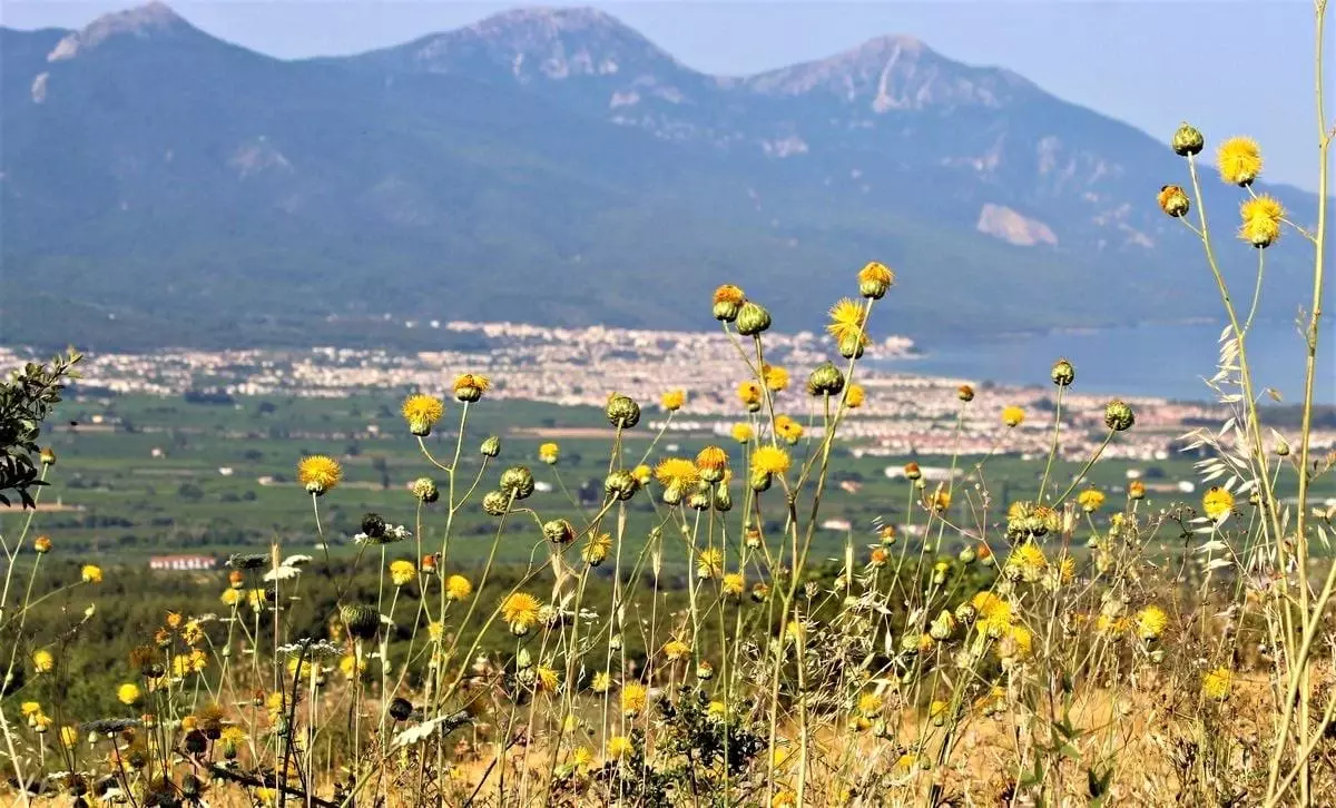 Tülüşah deneme parselinde değerlendirme toplantısı yapıldı