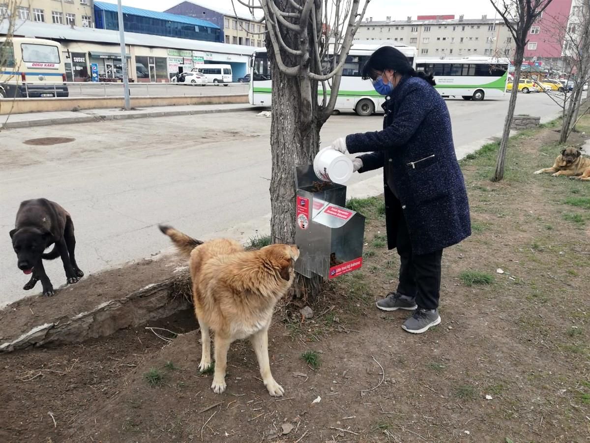 Vali Belediye Başkanı Öksüz, "Can Dostlarımıza hep birlikte sahip çıkalım"