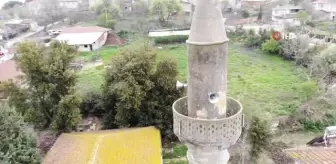 600 yıllık tarihiyle 'Kalfa Köyü'