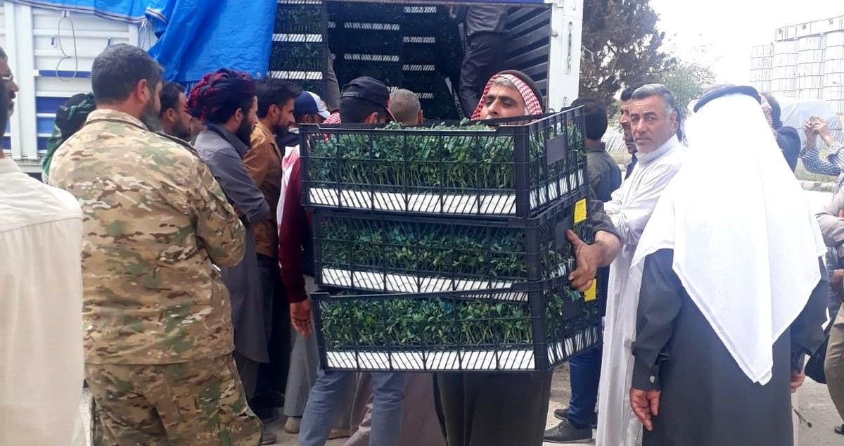 Barış Pınarı bölgesindeki çiftçilere destek