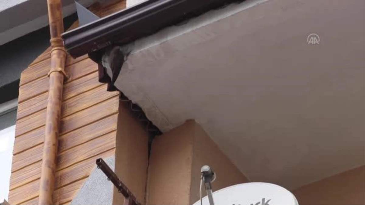 Son dakika haber: Çatıdaki yağmur saçağına sıkışan ebabil kuşunu itfaiye kurtardı