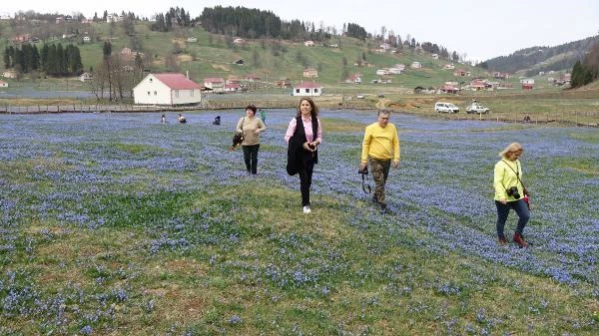 TRABZON KADIRALAK YAYLASI, ZİYARETÇİLERİNİ AĞIRLIYOR