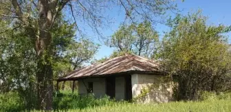 Son dakika gündem: Kadirli'de Bakan Derya Yanık sevinci