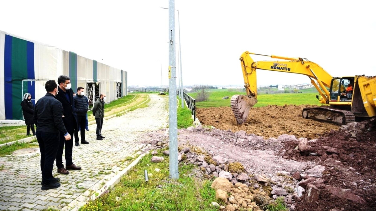 Kartepe\'ye sokak hayvanları için rehabilitasyon merkezi yapılıyor