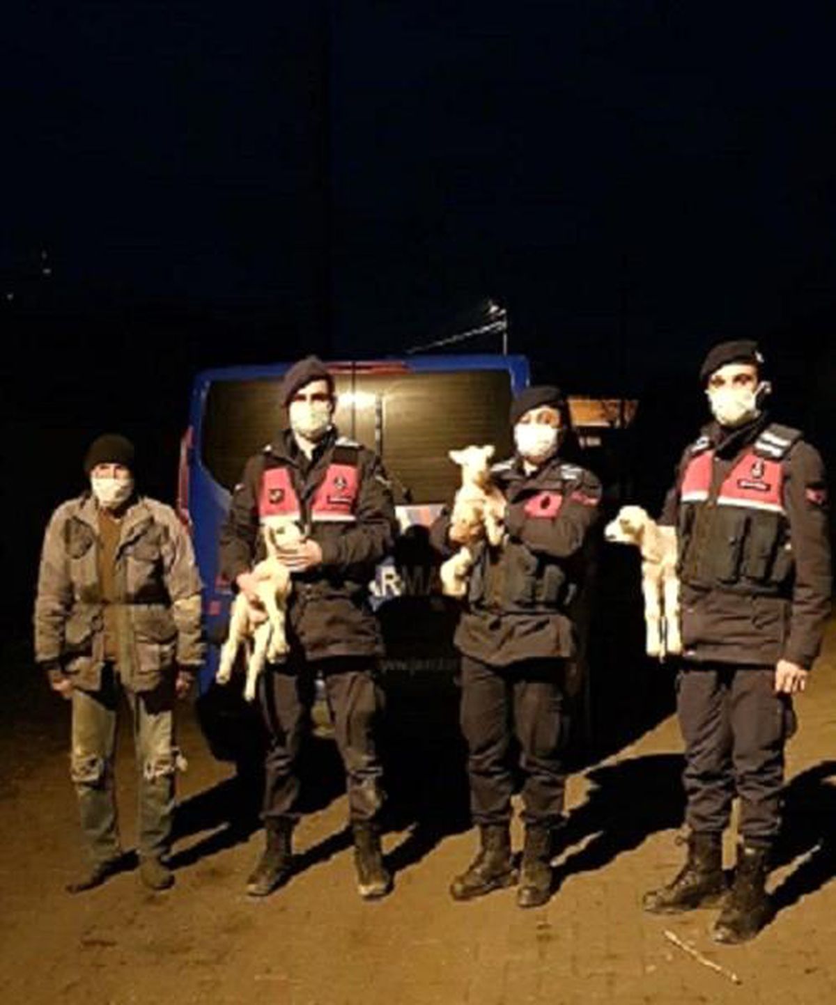 Kimsesiz kuzulara jandarma sahip çıktı