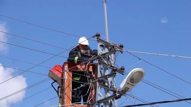 Leylekler, elektrik direklerine konulan platformlara yuva yapmaya başladı