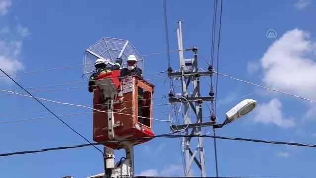 Leylekler, elektrik direklerine konulan platformlara yuva yapmaya başladı