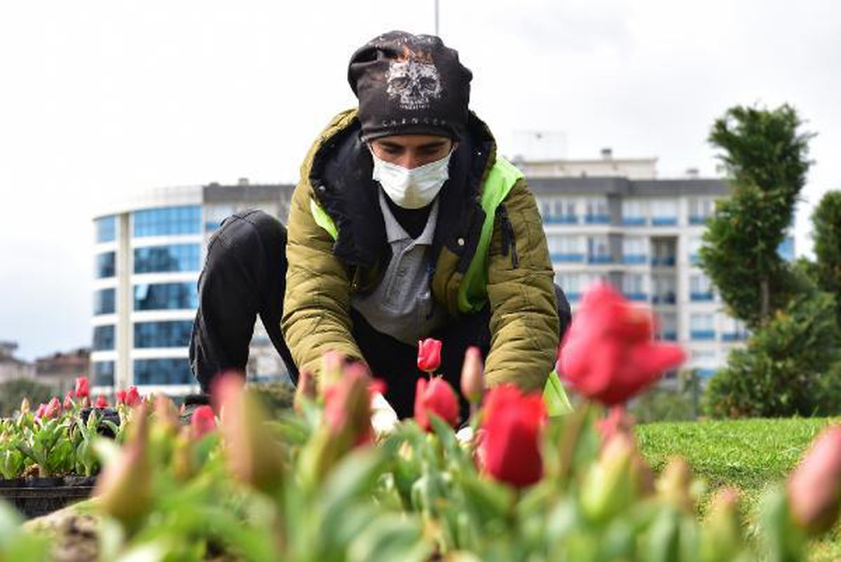 "Tuzla\'da kişi başına düşen yeşil alan sayısı ortalamanın üstünde"