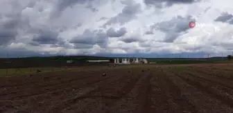 2 yıl önce Trakya'da ilk olarak ekilen kuşkonmazın hasadı yapıldı