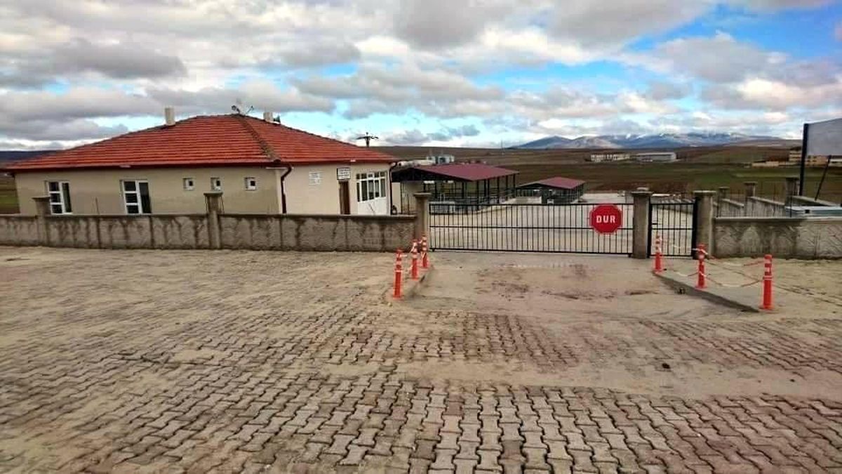 Aslanapa hayvan pazarı küçükbaş hayvanlara açıldı