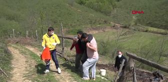 Tarlada çalışırken ayağını çapa makinesine kaptırdı