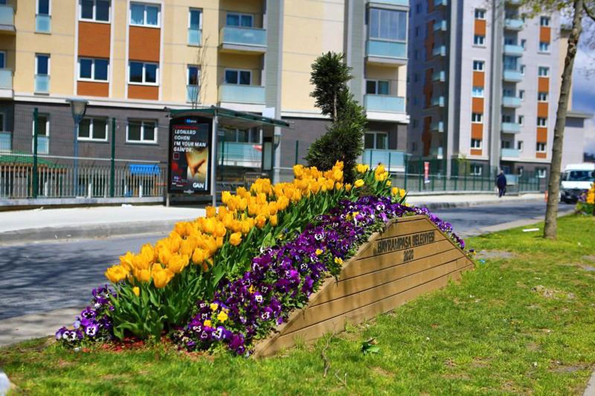 Bayrampaşa\'da lale şöleni