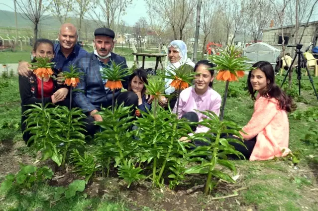 Dağdan getirdiği ters lale tohumlarıyla bahçesini süsledi