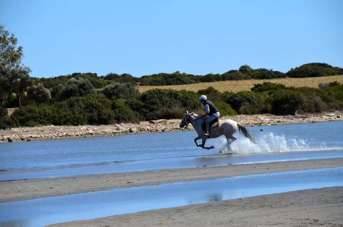 Didim\'de alternatif turizm hareketliliği etkinlikle anlatıldı