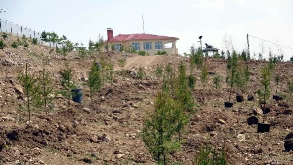 Erciş'te Afrin şehidi için hatıra ormanı