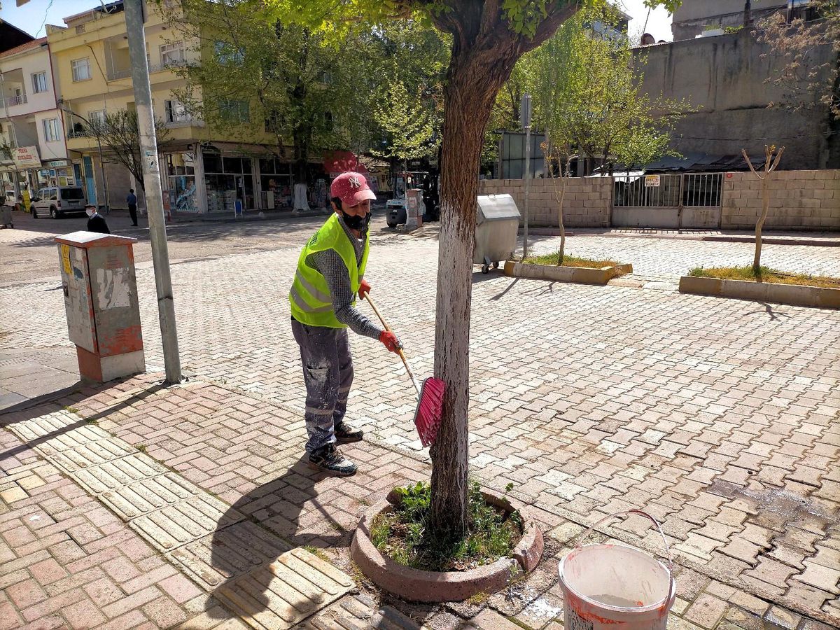 Gölbaşı Belediyesi ağaçları kireçliyor