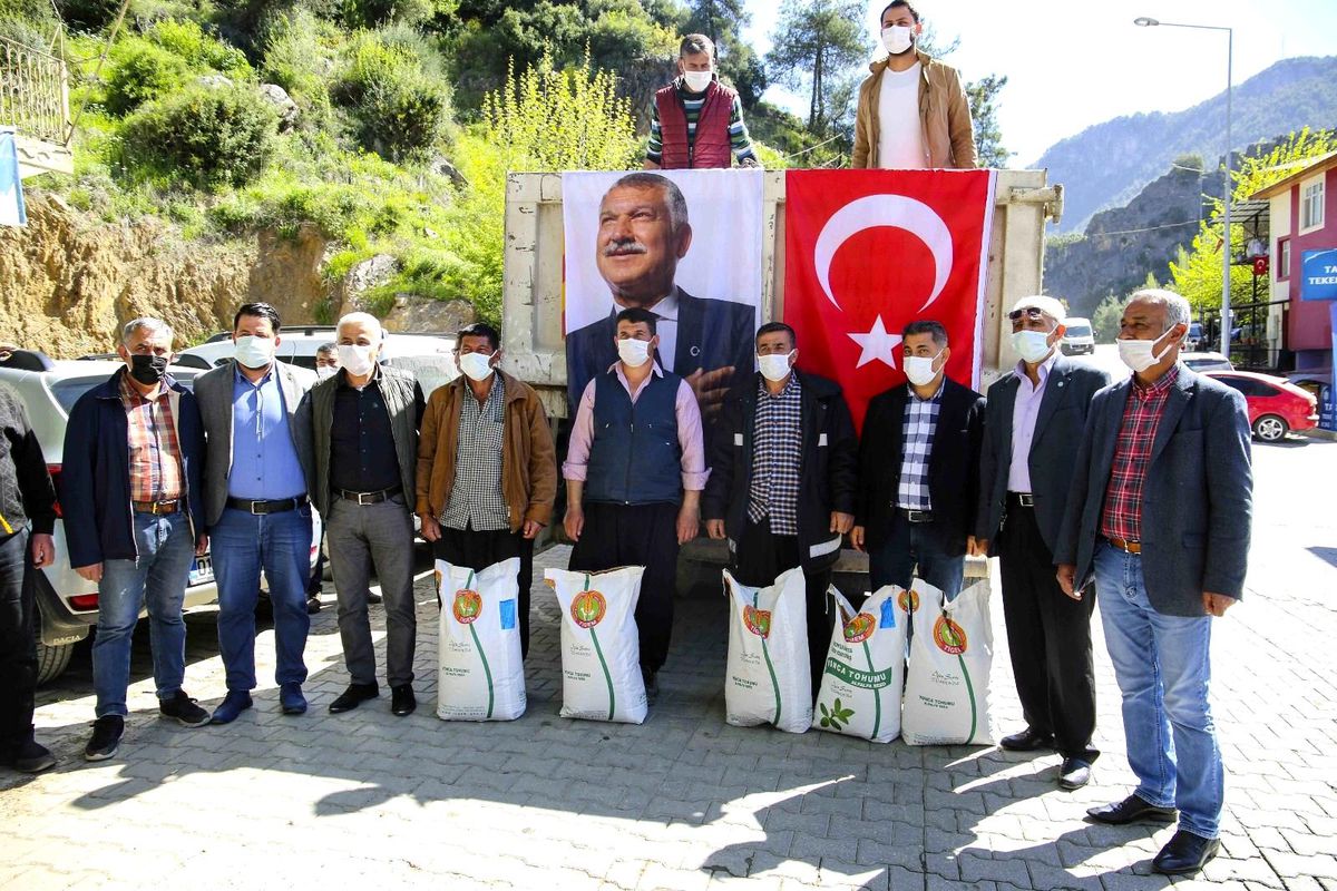 Hayvan üreticilerine yonca tohumu desteği