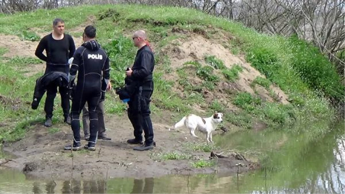 Nehirde aranan yaşlı adamın beslediği köpek, bir an olsun bölgeden ayrılmadı