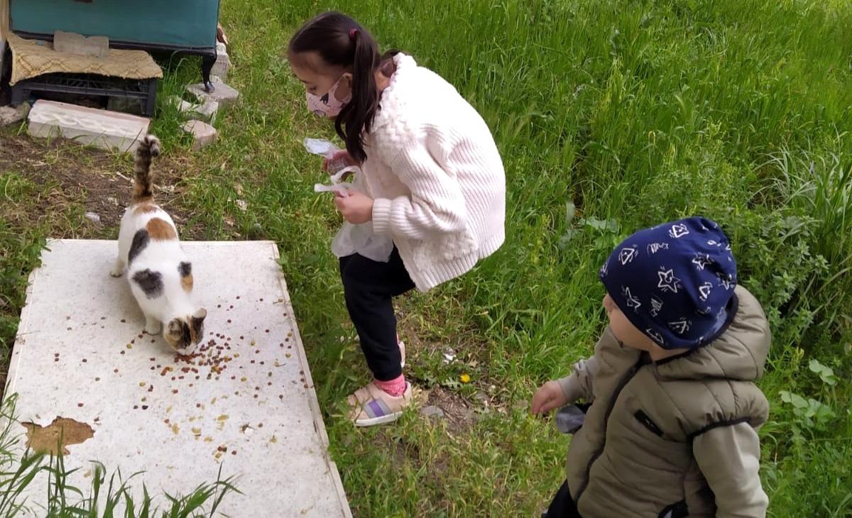"Sokaktaki Kedileri Sevgiyle Besler Misin Projesi" ilgi gördü